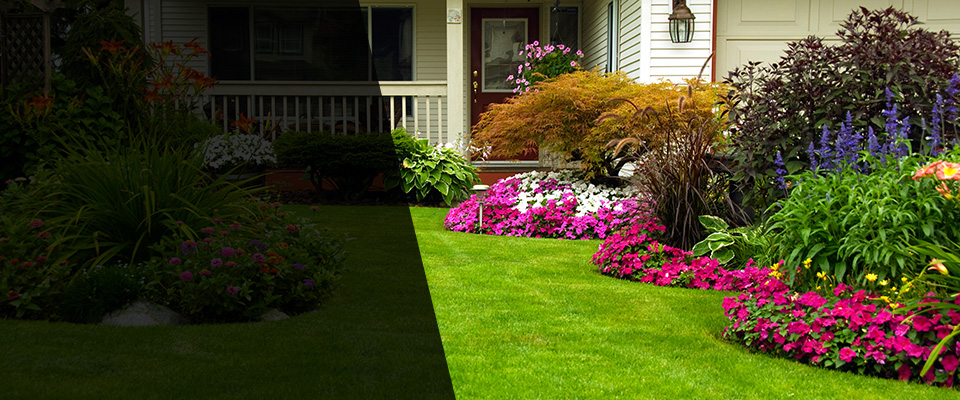 Waynesville Landscapers